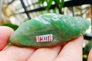 Natural Jade Rough Jadeite Raw (45g,7.3x2.8x1.38cm)